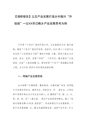 【调研报告】立足产业发展打造乡村振兴“升级版”—以XX市己略乡产业发展思考为例.docx