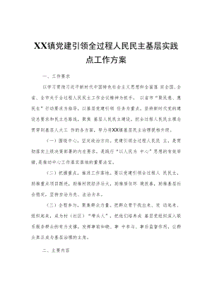 XX镇党建引领全过程人民民主基层实践点工作方案.docx