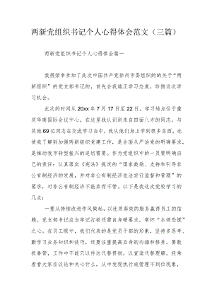 两新党组织书记个人心得体会范文（三篇）.docx