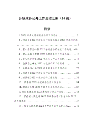 2022年乡镇政务公开工作总结汇编（14篇）.docx