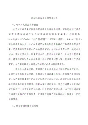 电动工具行业品牌壁垒分析.docx