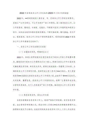 2022年街道政务公开工作总结和2023年工作计划供借鉴.docx