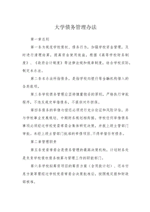 大学债务管理办法.docx