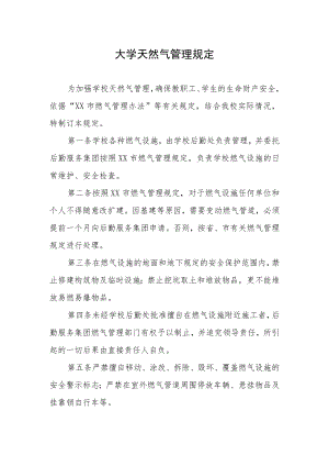 大学天然气管理规定.docx
