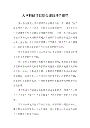 大学科研项目综合绩效评价规范.docx