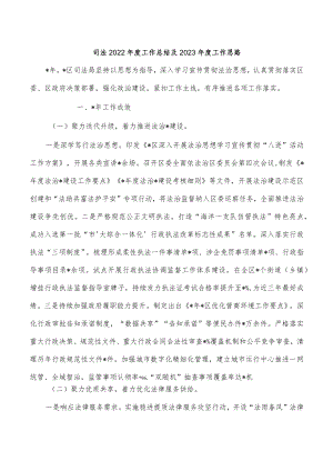 司法2022年度工作总结及2023年度工作思路.docx