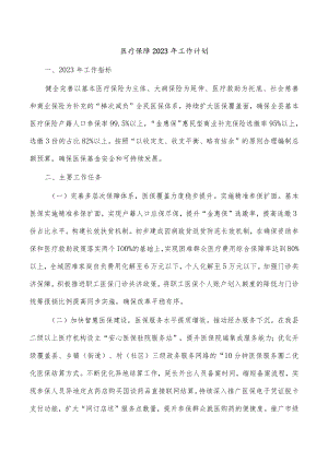 医疗保障2023年工作计划.docx