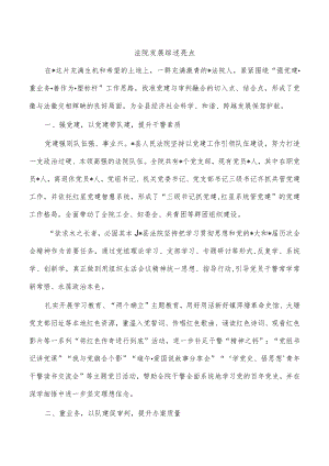 法院发展综述亮点.docx