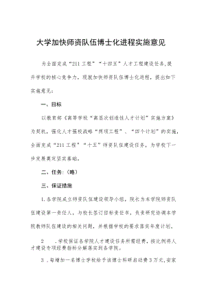 大学加快师资队伍博士化进程实施意见.docx
