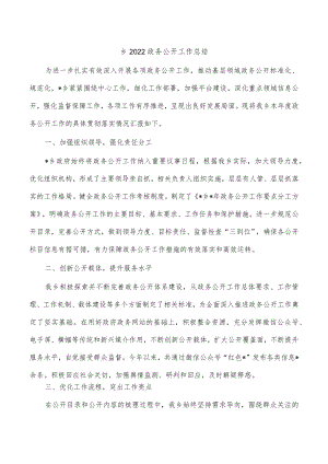 乡2022政务公开工作总结.docx