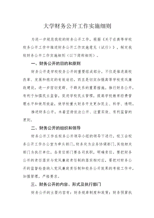 大学财务公开工作实施细则.docx