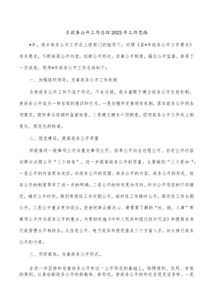 乡政务公开工作总结2023年工作思路.docx