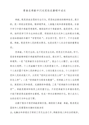 “青春在奉献中闪光党性在磨砺中成长”观后心得.docx