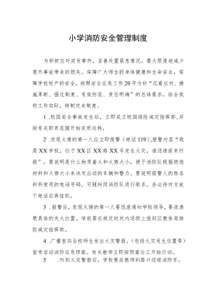 小学消防安全管理制度.docx
