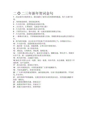 二〇二三年新年贺词金句.docx