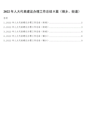2022年人大代表建议办理工作总结5篇（镇乡、街道）.docx