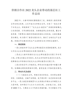供销合作社2022龙头企业带动的基层社工作总结.docx
