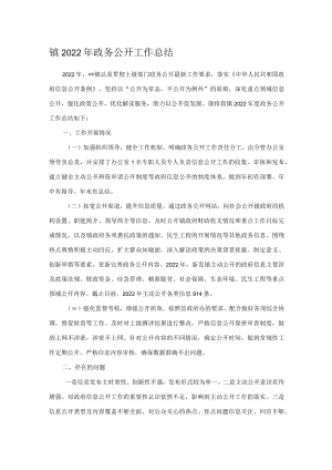 镇2022年政务公开工作总结.docx