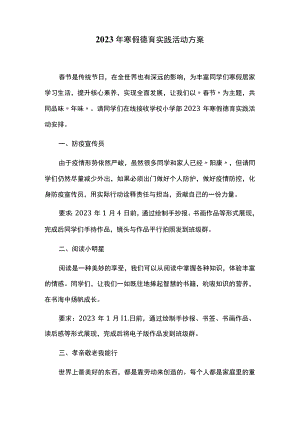 2023年寒假德育实践活动方案.docx