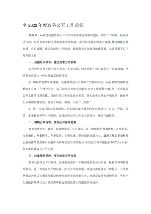乡2022年度政务公开工作总结.docx