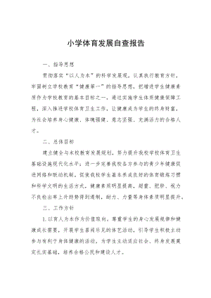 2023年小学体育发展自查报告.docx