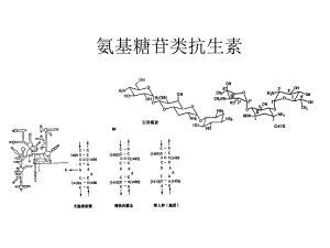 氨基糖苷类抗生素.ppt