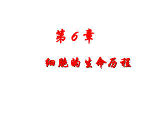 植物细胞的有丝分裂.ppt