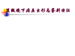 显微镜下疟原虫薄血膜形态鉴别特征.ppt
