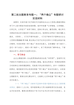 第二批主题教育专题一：“两个确立”专题研讨交流材料 .docx