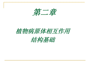 植物病原体相互作.ppt