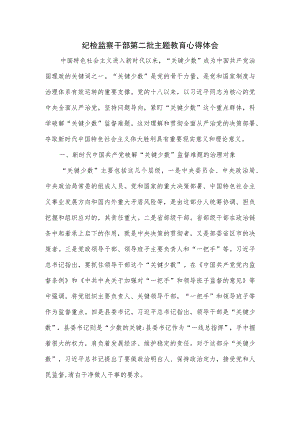 纪检监察干部第二批主题教育心得体会.docx