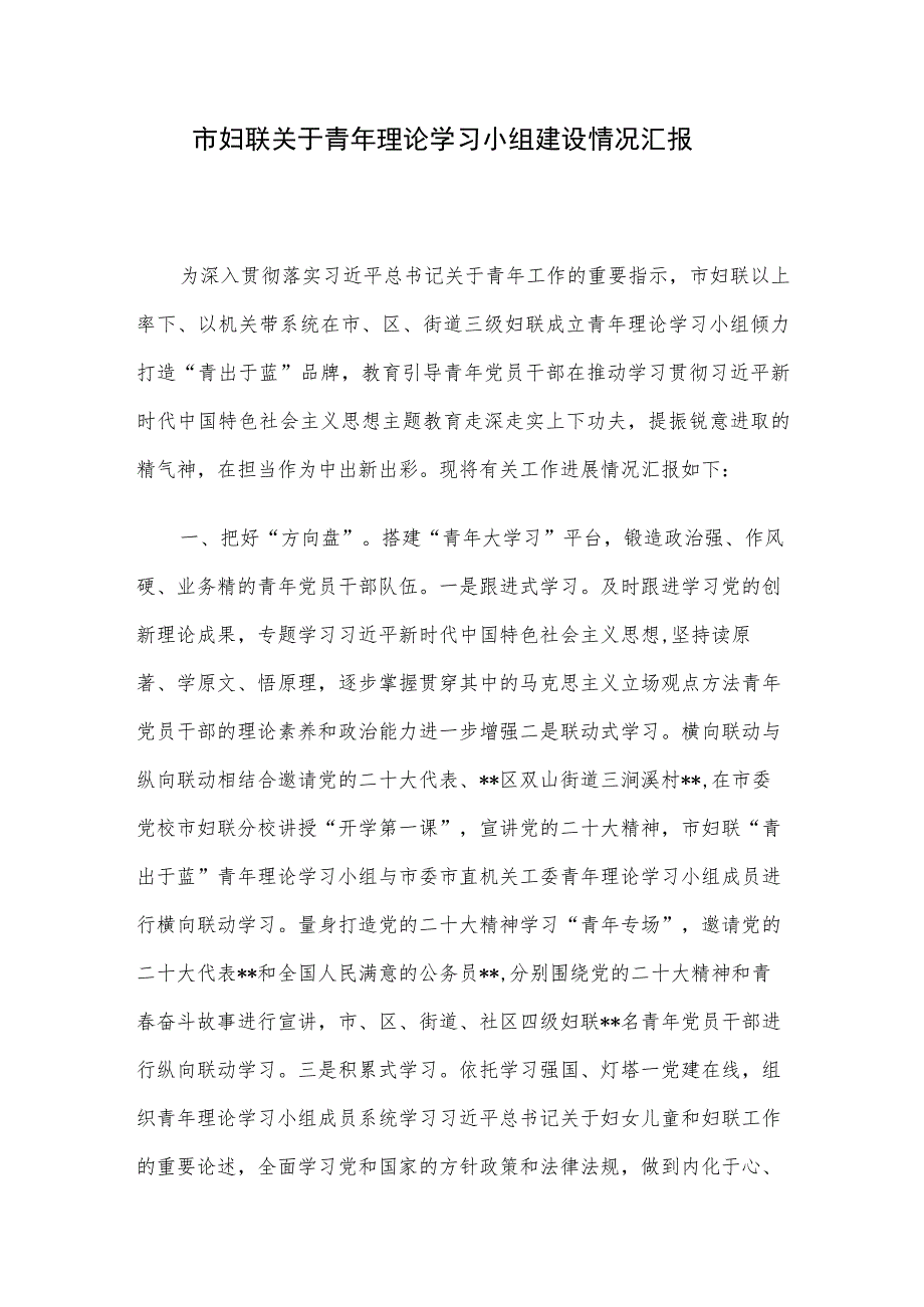 市妇联关于青年理论学习小组建设情况汇报.docx_第1页