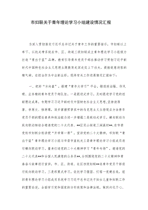 市妇联关于青年理论学习小组建设情况汇报.docx