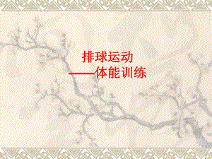 排球运动体能训练.ppt