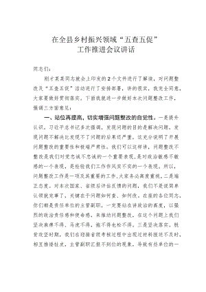 在全县乡村振兴领域“五查五促”工作推进会议讲话.docx