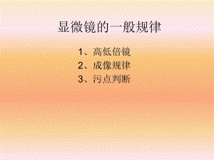 显微镜使用的规律.ppt