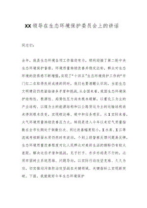 XX领导在生态环境保护委员会上的讲话.docx