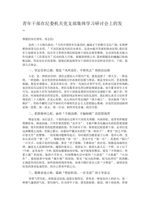 青年干部在纪委机关党支部集体学习研讨会上的发言.docx