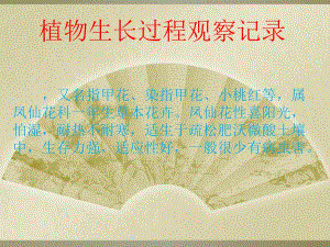 植物生长过程记录.ppt
