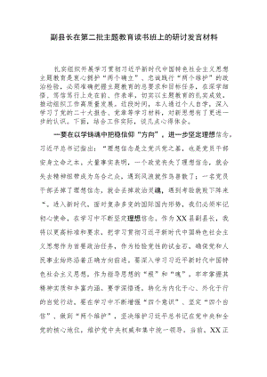 副县长在第二批主题教育读书班上的研讨发言.docx