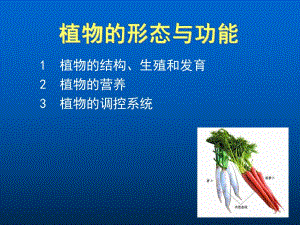 植物的形态与功能.ppt