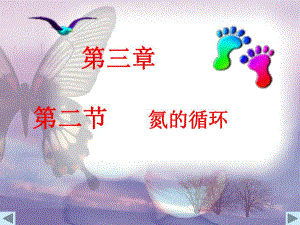 氮的循环课件.ppt