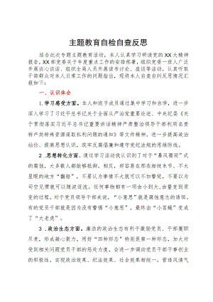 主题教育自检自查反思.docx