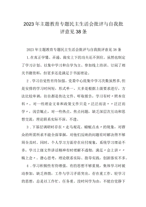 2023年主题教育专题民主生活会批评与自我批评意见38条.docx