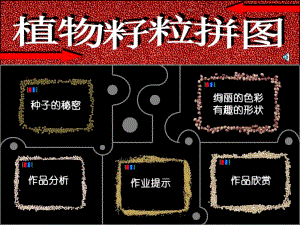 植物籽粒拼图.ppt