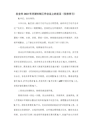 在全市2023年河湖长制工作会议上的发言.docx