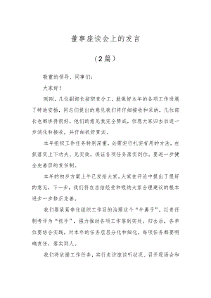 董事座谈会上的发言（2篇）.docx