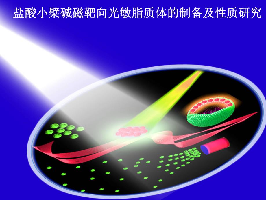 磁靶向脂质体的制备及性质研究.ppt_第1页