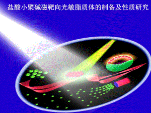 磁靶向脂质体的制备及性质研究.ppt