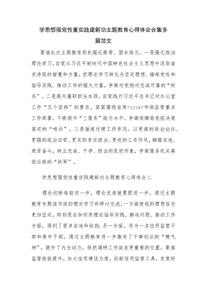 学思想强党性重实践建新功主题教育心得体会合集多篇范文.docx